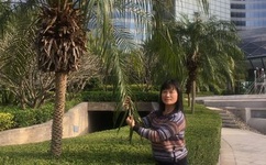 黄圣依疑被劝酒